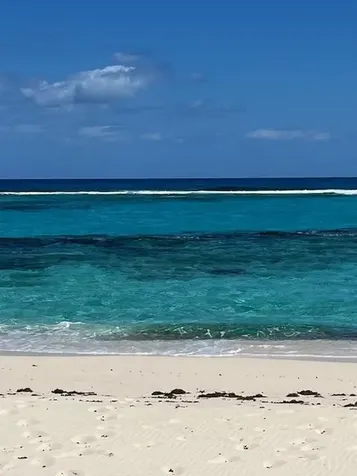 3.49 Acres, Morrisville Long Island BS