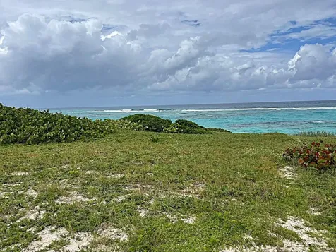 3.49 Acres, Morrisville Long Island BS