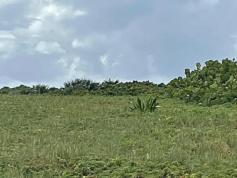 3.49 Acres, Morrisville Long Island BS