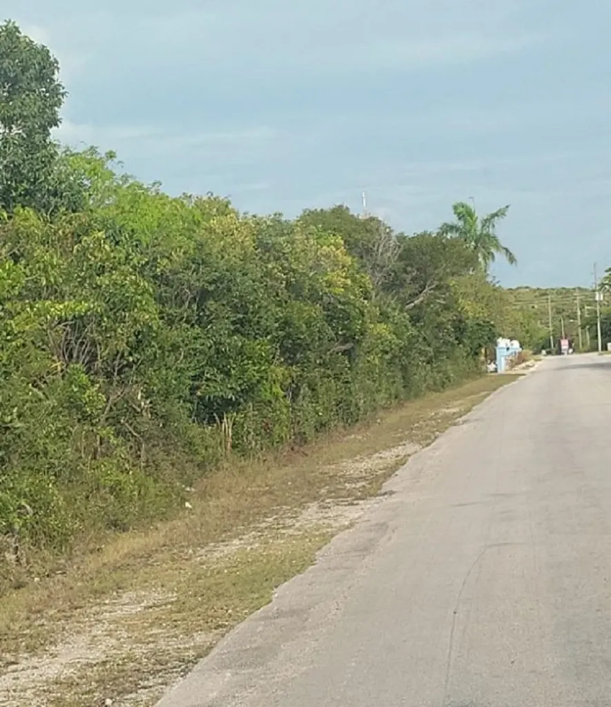 Hamilton, Long Island Long Island BS