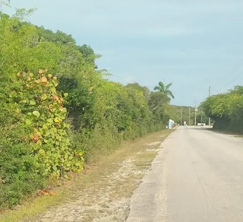 Hamilton, Long Island Long Island BS