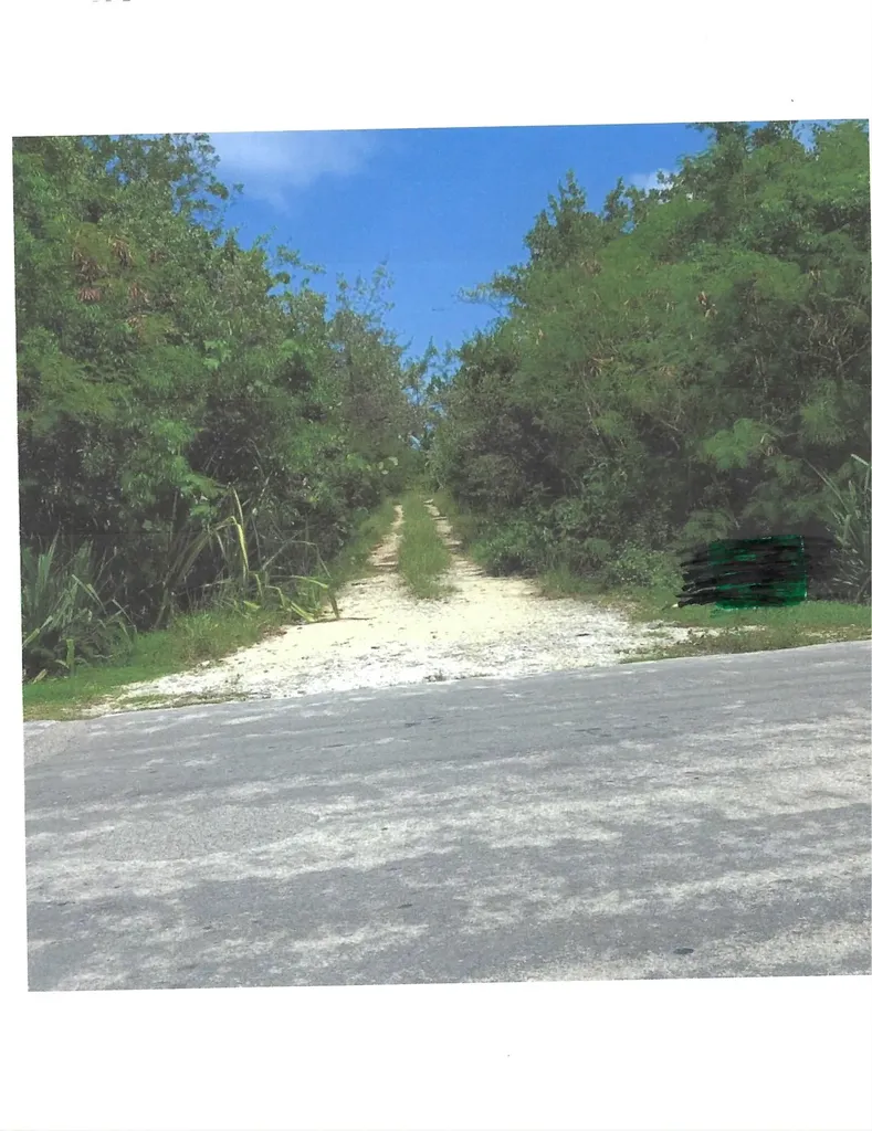 Andros, High Rock Andros BS