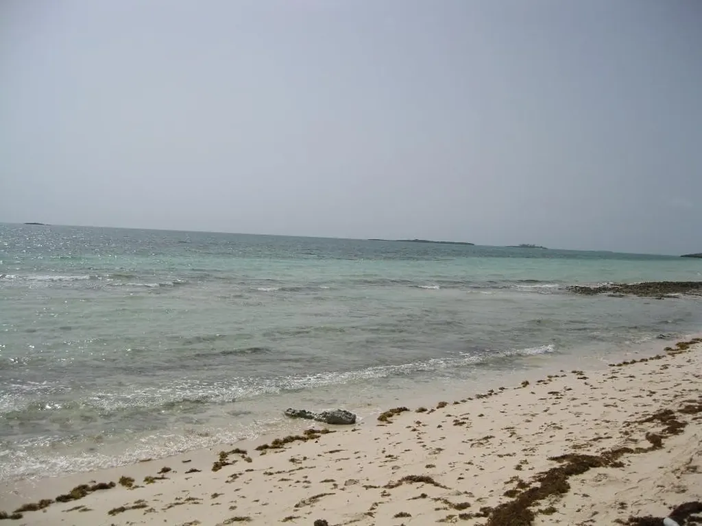 Andros, High Rock Andros BS