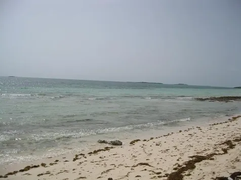 Andros, High Rock Andros BS