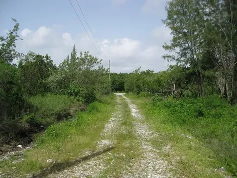 Andros, High Rock Andros BS