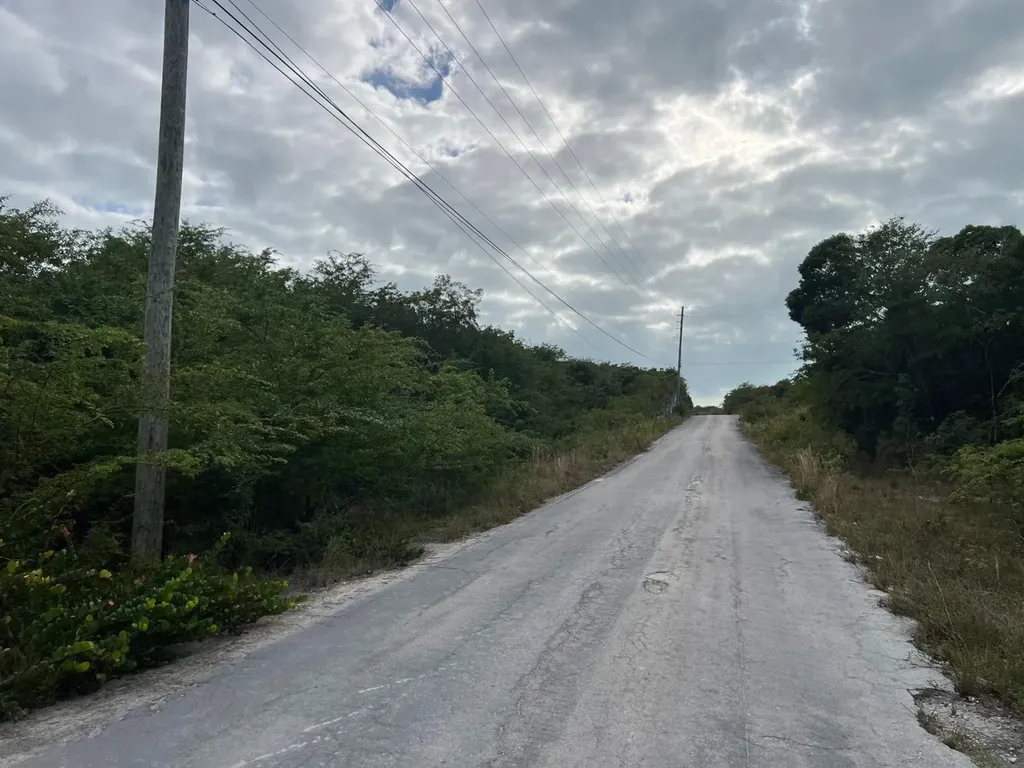 Zebra Fish Road Exuma BS