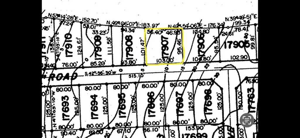 Zebra Fish Road Exuma BS