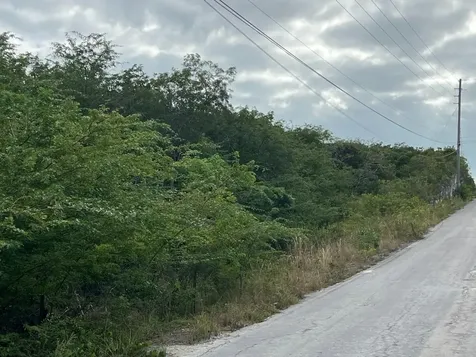 Zebra Fish Road Exuma BS