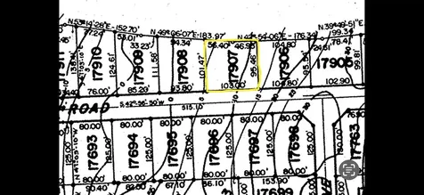 Zebra Fish Road Exuma BS