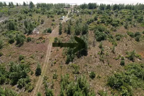 10 Acres Beachfront Grand Bahama Freeport BS