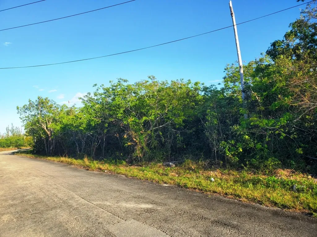 Duplex Lot, Ludford Drive Grand Bahama Freeport BS