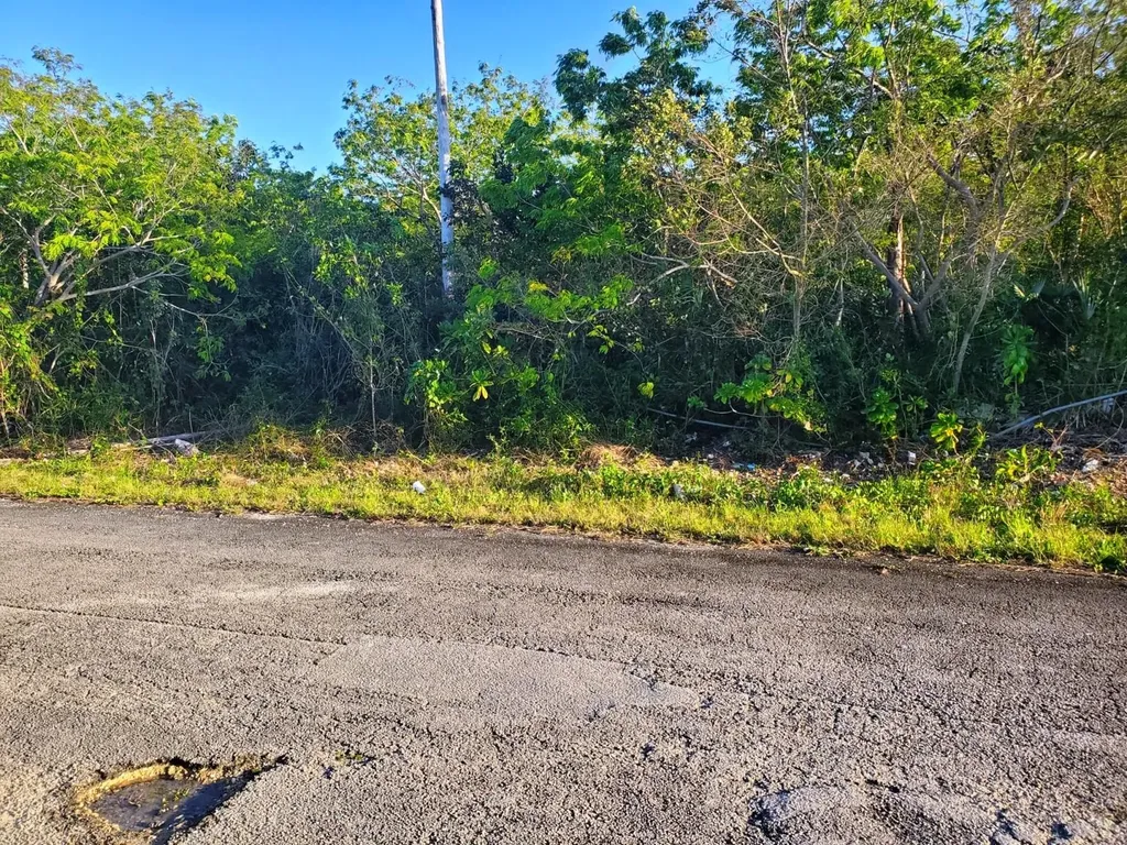 Duplex Lot, Ludford Drive Grand Bahama Freeport BS