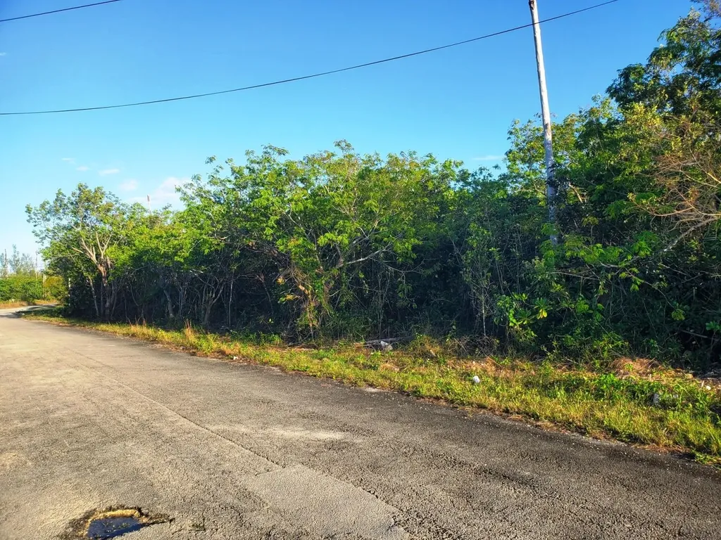 Duplex Lot, Ludford Drive Grand Bahama Freeport BS