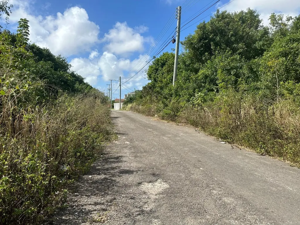 Tonique Williams-darling Parcel 5 -- 5.608 Acres New Providence Paradise Island BS
