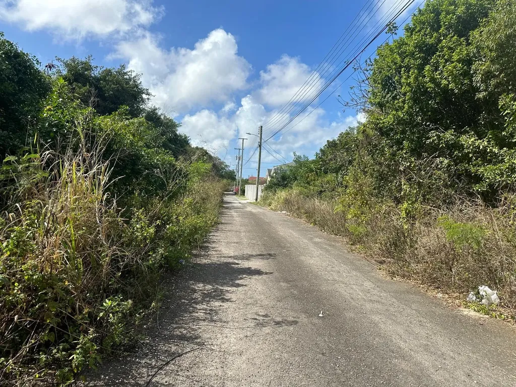 Tonique Williams-darling Parcel 5 -- 5.608 Acres New Providence Paradise Island BS