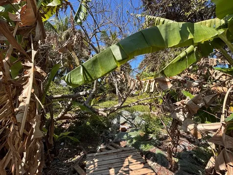 Chipps End New Providence Paradise Island BS