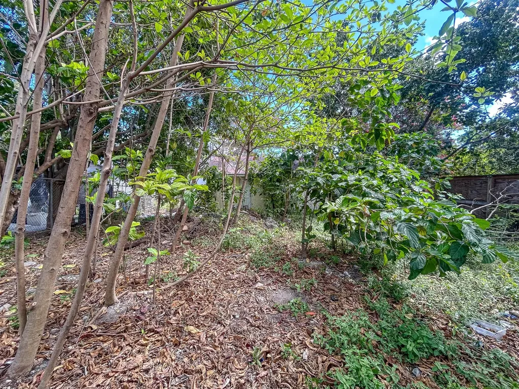 Homestead Street 25 New Providence Paradise Island BS