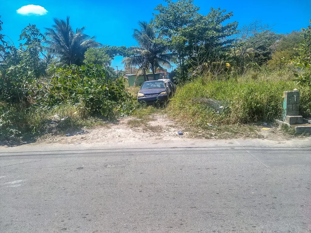 Wilson Track New Providence Paradise Island BS