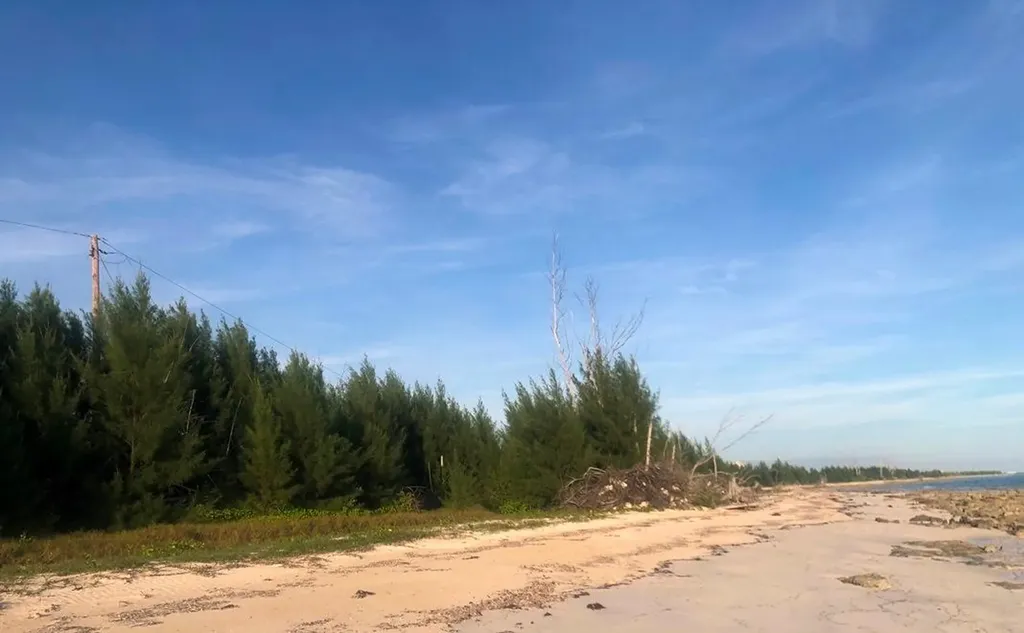 Bassett Cove Grand Bahama Freeport BS