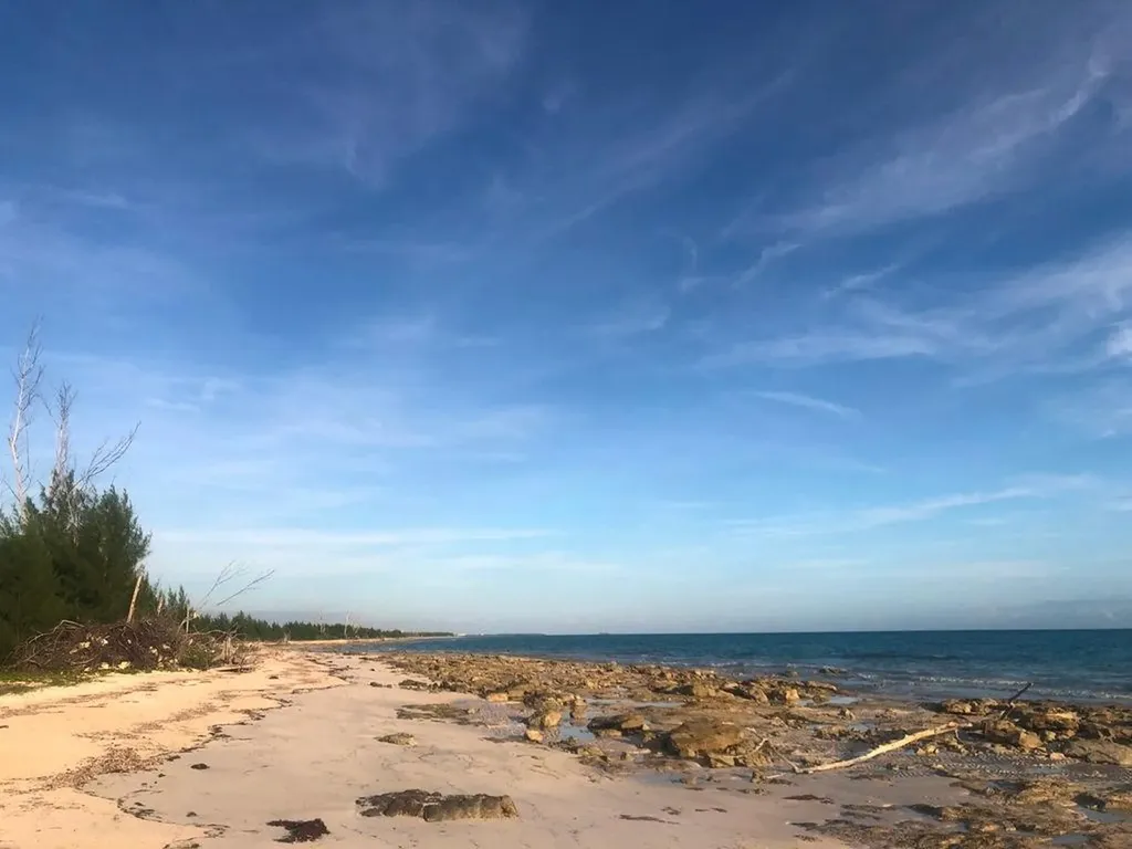 Bassett Cove Grand Bahama Freeport BS