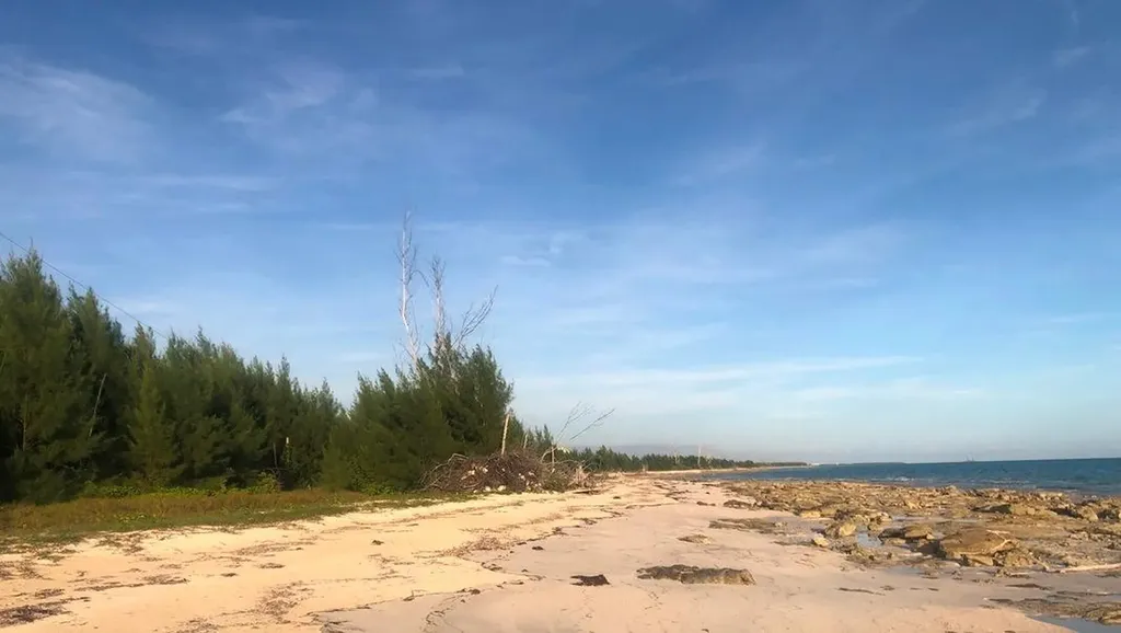 Bassett Cove Grand Bahama Freeport BS