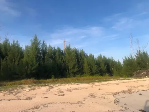 Bassett Cove Grand Bahama Freeport BS