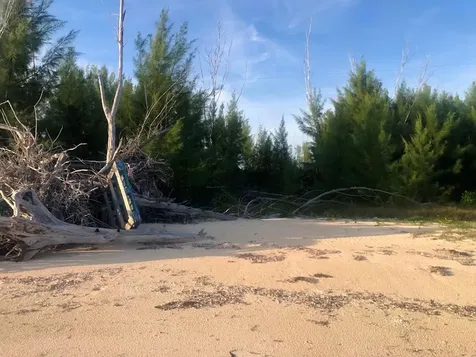 Bassett Cove Grand Bahama Freeport BS