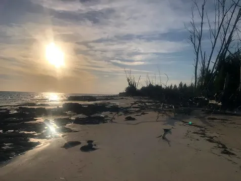 Bassett Cove Grand Bahama Freeport BS