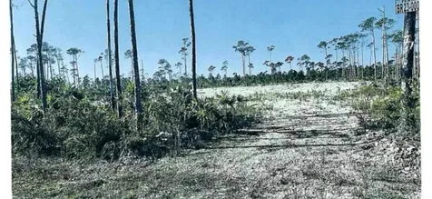 Grand Bahama Mf Lot Grand Bahama Freeport BS