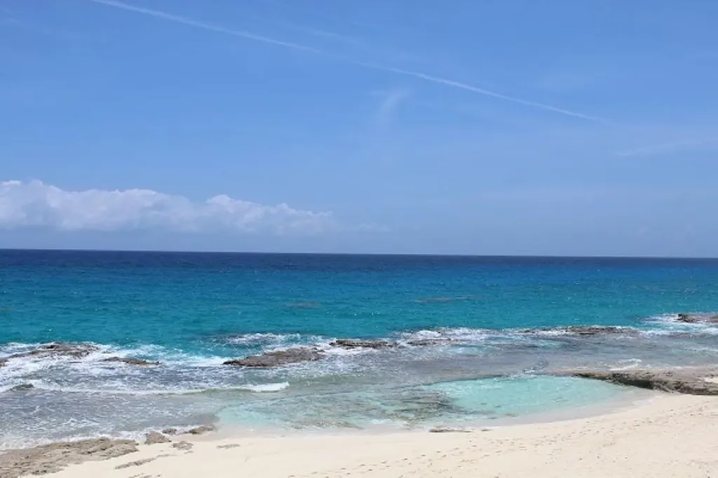 Lot# 51 Long Island BS