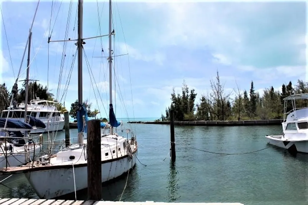 Lot# 51 Long Island BS