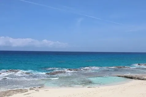 Lot# 51 Long Island BS