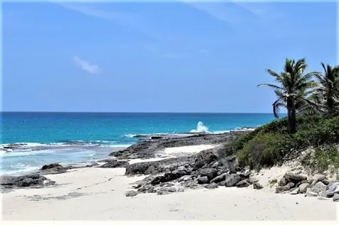 Lot# 51 Long Island BS