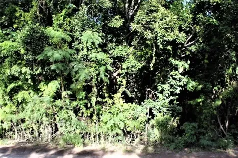 Lot# 51 Long Island BS