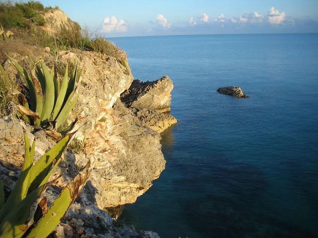 Bahama Island Reach 2d Eleuthera BS