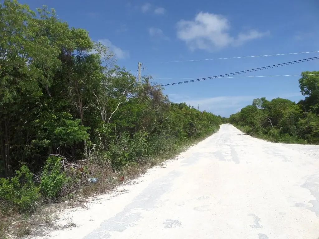 Lot# 564. Stella Maris Long Island BS