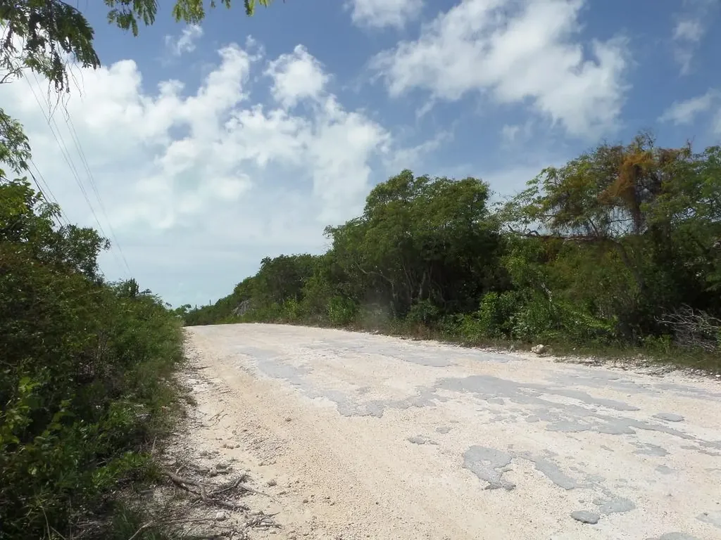 Lot# 564. Stella Maris Long Island BS