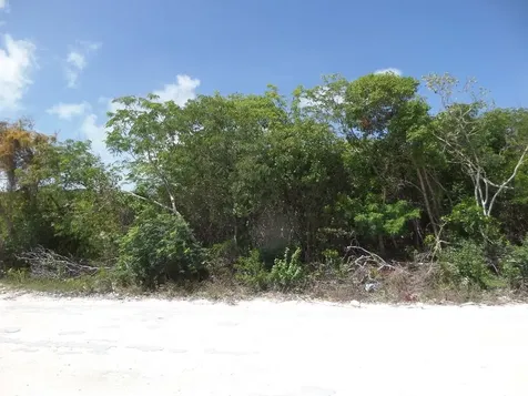 Lot# 564. Stella Maris Long Island BS