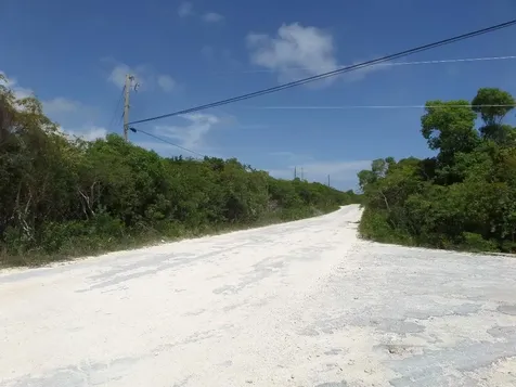 Lot# 564. Stella Maris Long Island BS