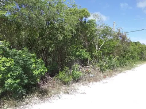 Lot# 563 Stella Maris Long Island BS