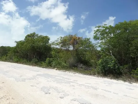 Lot# 563 Stella Maris Long Island BS