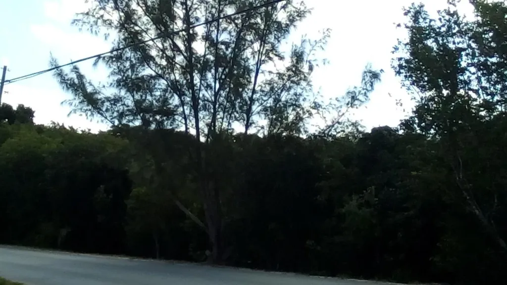 Bahama Island Reach 1b Eleuthera BS