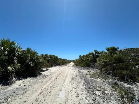 100 Acres Pigeon Cay Cat Island BS