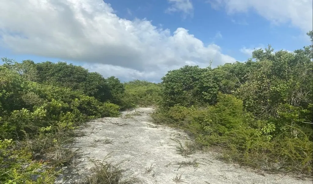 Lot 9 Columbus Landing 4 San Salvador BS