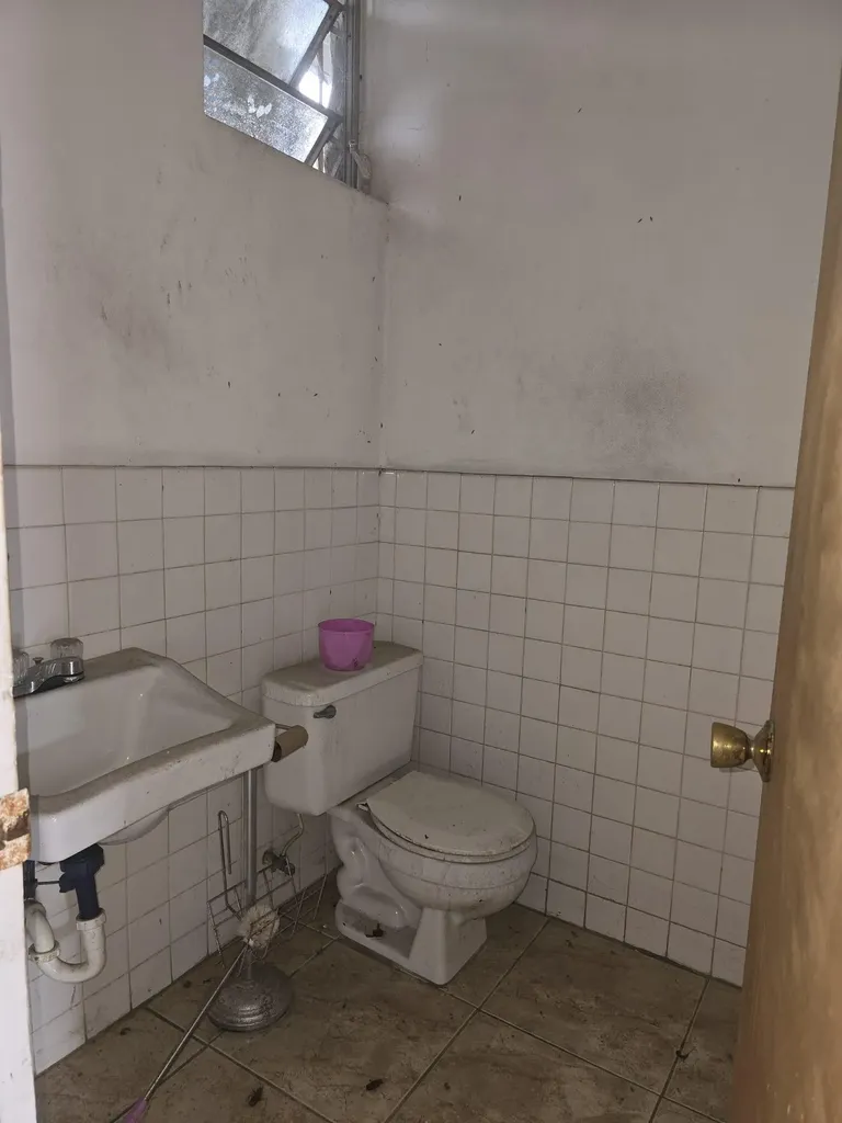 Collins Avenue New Providence Paradise Island BS