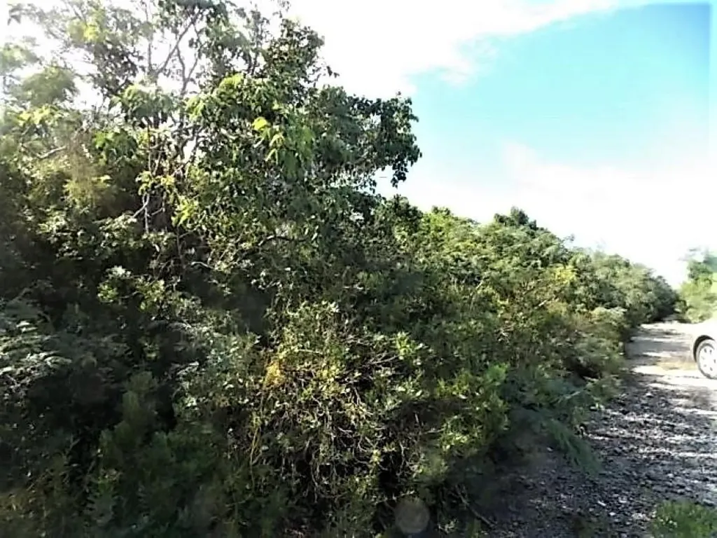 Mount Curtis Drive Ph, Sec 2 Long Island BS