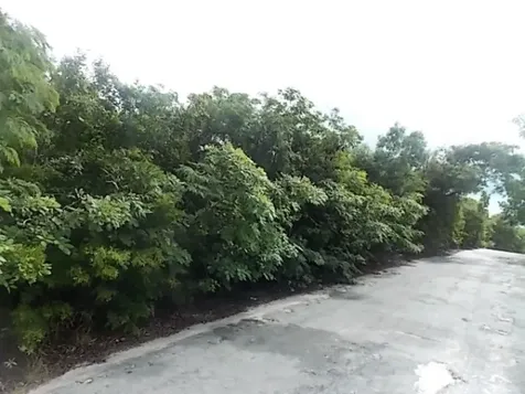 Mount Curtis Drive Ph, Sec 2 Long Island BS