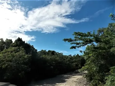 Mount Curtis Drive Ph, Sec 2 Long Island BS