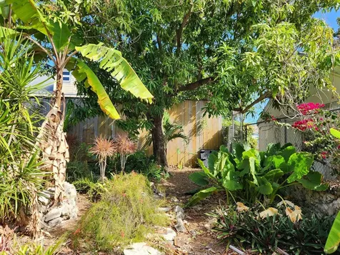 #39 Sears Hill Road New Providence Paradise Island BS