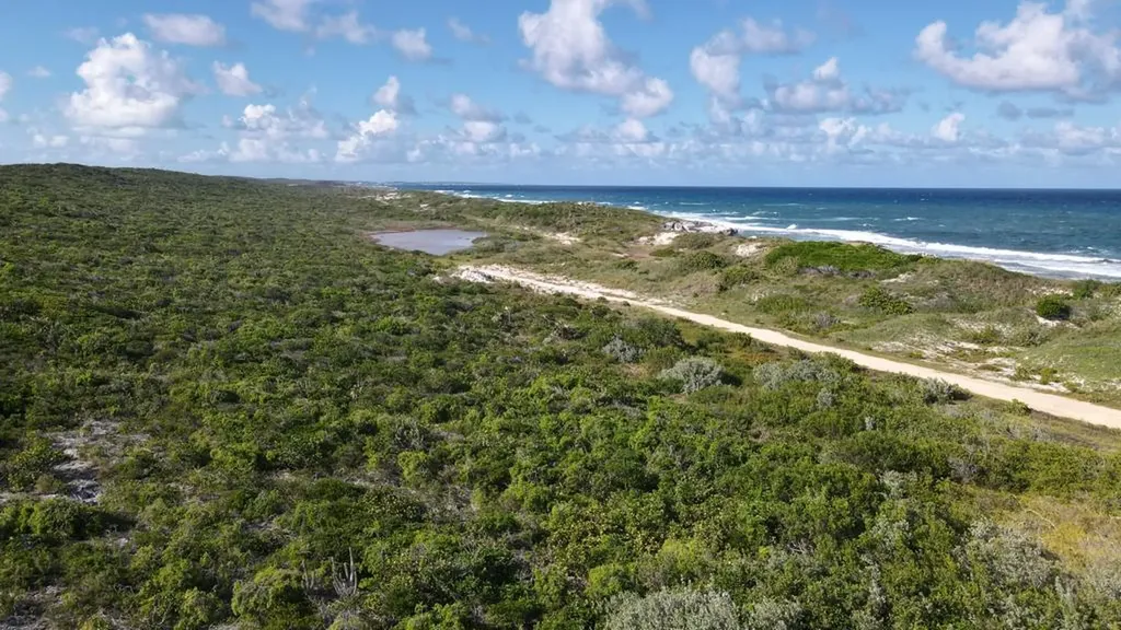 Millers, Long Island Long Island BS